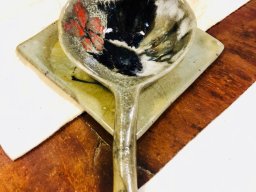 A051 蔡麗秀---回家系列作品