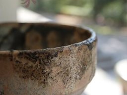 A061 蔡麗秀---回家系列作品
