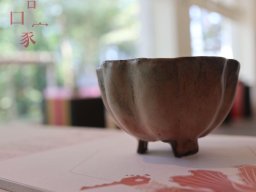 A064 蔡麗秀---回家系列作品